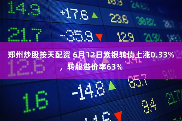 郑州炒股按天配资 6月12日紫银转债上涨0.33%，转股溢价率63%