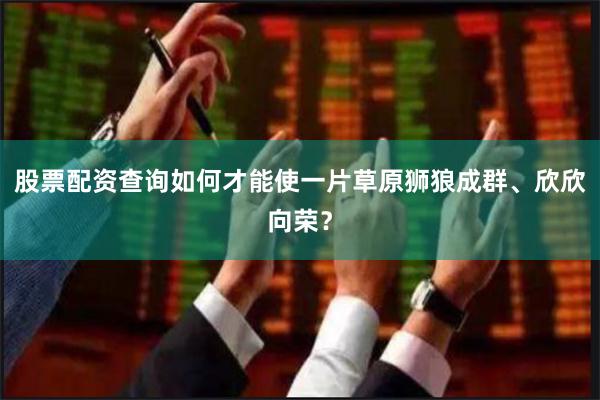 股票配资查询如何才能使一片草原狮狼成群、欣欣向荣？