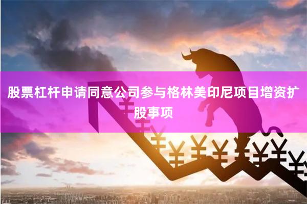 股票杠杆申请同意公司参与格林美印尼项目增资扩股事项