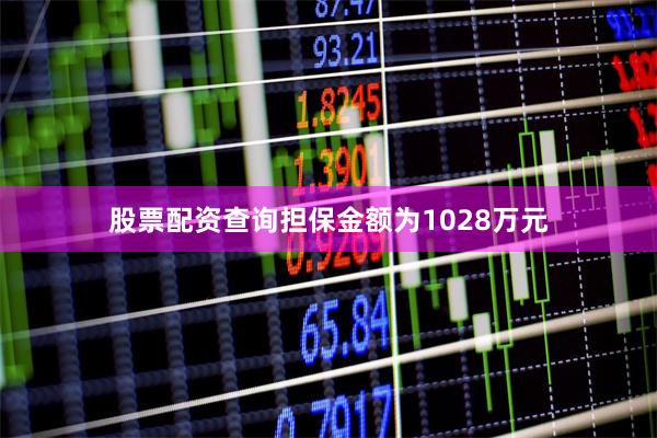 股票配资查询担保金额为1028万元